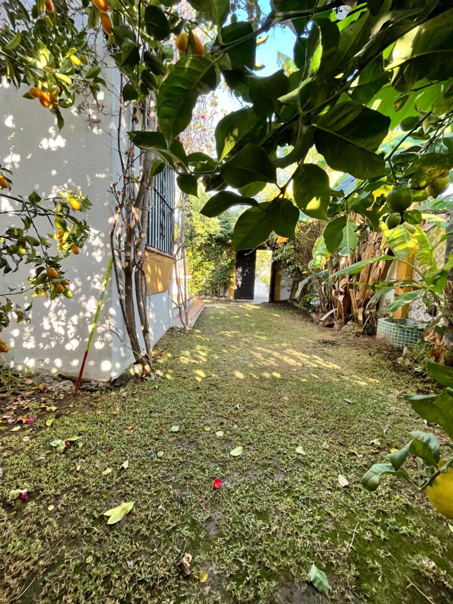 Gmc Turistics - Casa Mina Villa Marbella Eksteriør billede